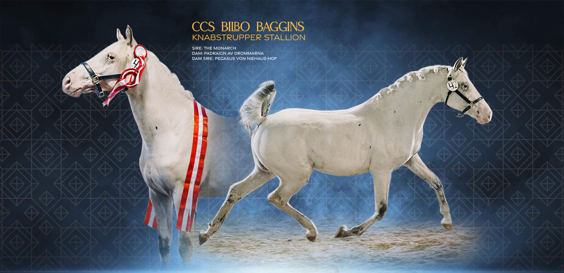 Bilbo header